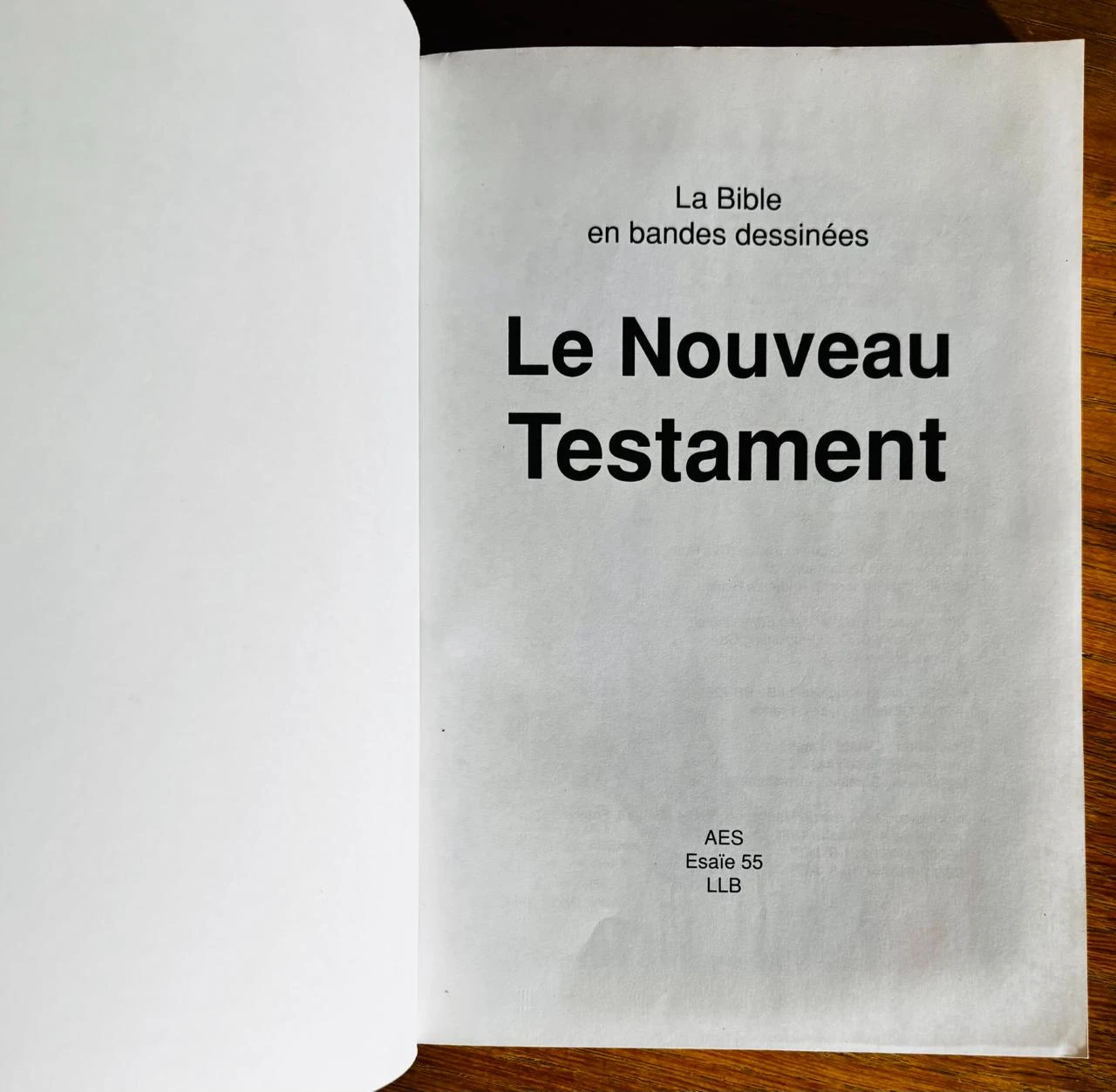 The new testament in comics by Iva Hoth (Paperback) – photo 4